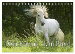 Cover-Bild zum Titel 'Dein Freund, dein Pferd (Tischkalender 2026 DIN A5 quer), CALVENDO Monatskalender' von 'Erika Müller'