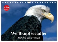 Weißkopfseeadler. Symbol der Freiheit (Wandkalender 2026 DIN A4 quer), CALVENDO Monatskalender - Elisabeth Stanzer