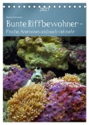 Cover-Bild zum Titel 'Bunte Riffbewohner - Fische, Anemonen und noch viel mehr (Tischkalender 2027 DIN A5 hoch), CALVENDO Monatskalender' von 'Bianca Schumann'