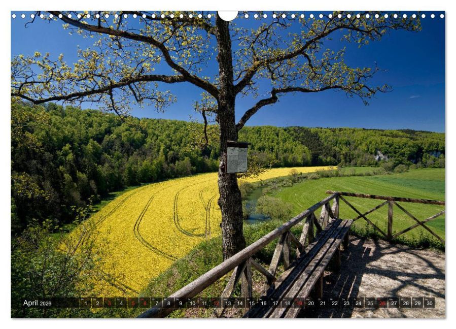 InsideView 9