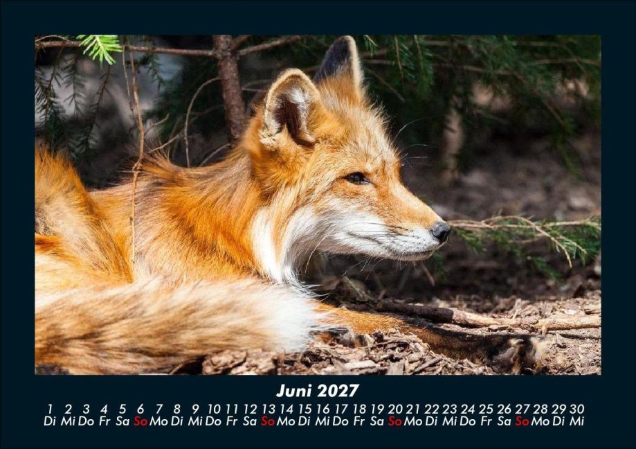 InsideView 10