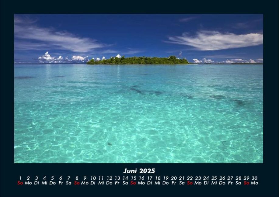 InsideView 10