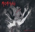 Cover-Bild zum Titel 'Rebirth By Blasphemy' von 'Midnight'