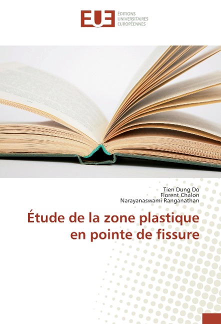 Étude de la zone plastique en pointe de fissure - Tien Dung Do, Florent Chalon, Narayanaswami Ranganathan