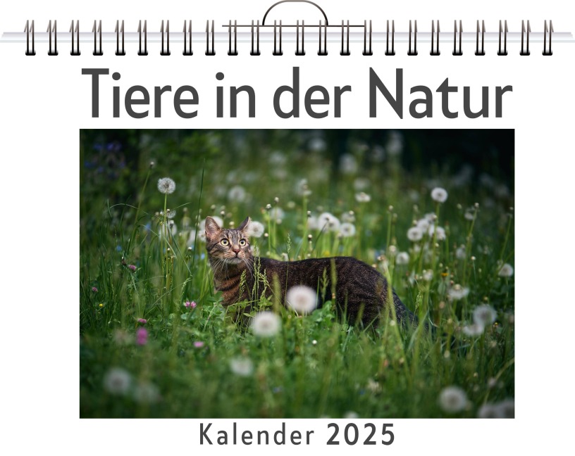 Tiere in der Natur - Lucas Huber
