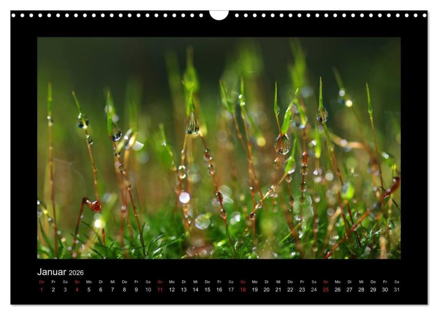 InsideView 6