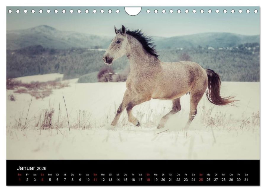 InsideView 6