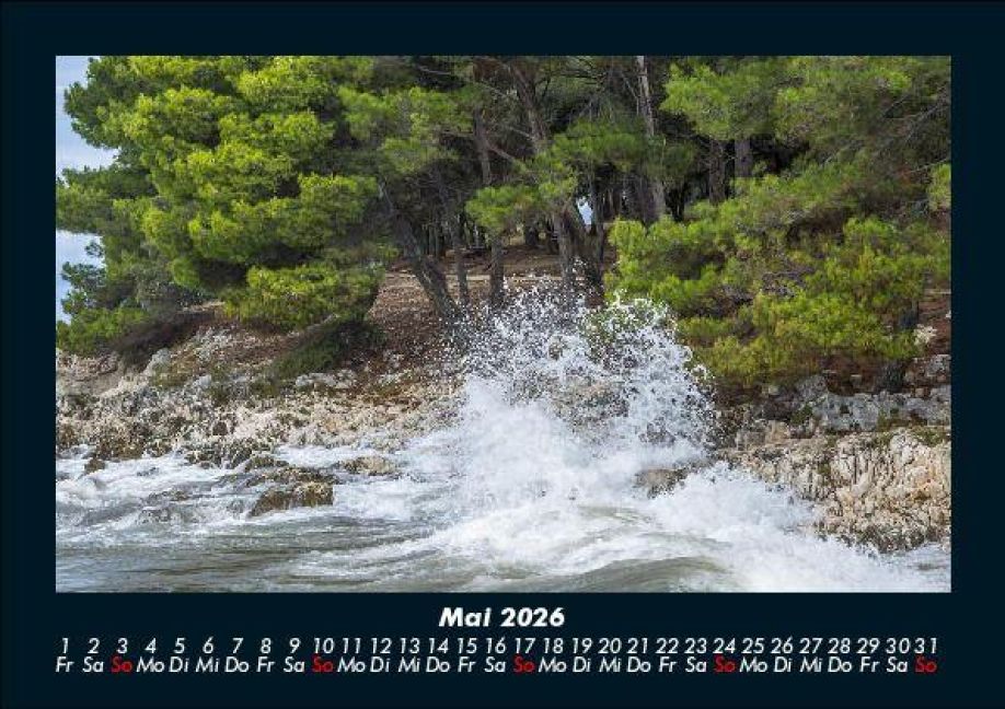 InsideView 9