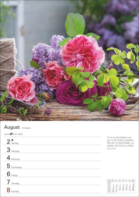 InsideView 12