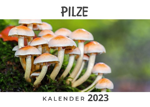 Pilze - Tim Fröhlich