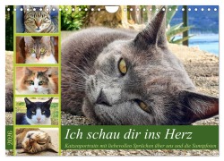 Cover-Bild zum Titel 'Ich schau dir ins Herz (Wandkalender 2026 DIN A4 quer), CALVENDO Monatskalender' von 'Michaela Schimmack'
