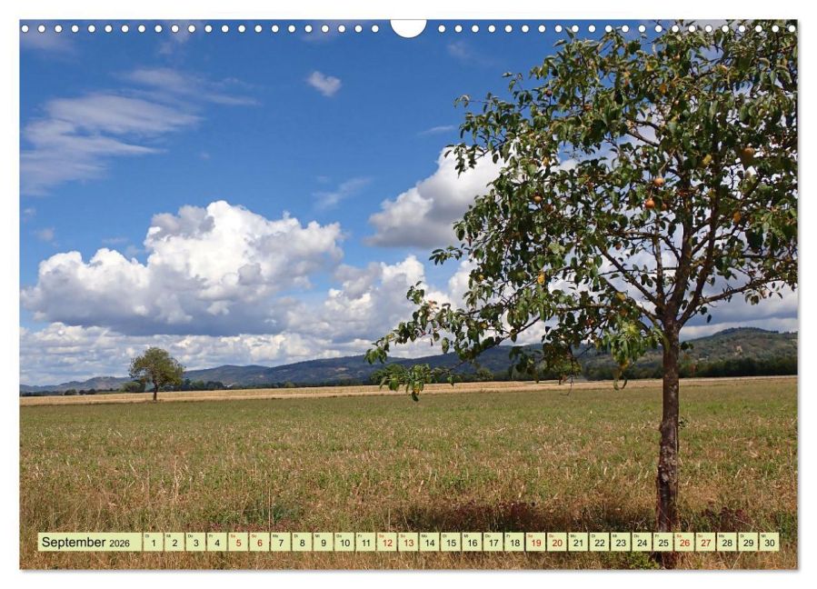 InsideView 14