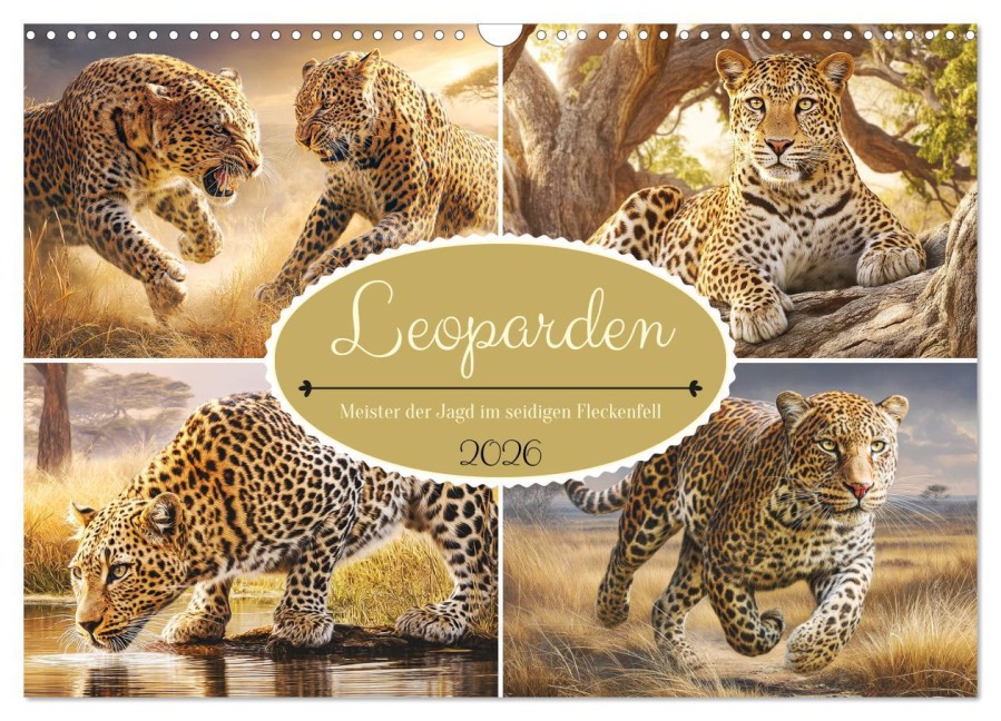 Leoparden. Meister der Jagd im seidigen Fleckenfell (Wandkalender 2026 DIN A3 quer), CALVENDO Monatskalender - Rose Hurley