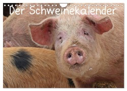 Cover-Bild zum Titel 'Der Schweinekalender (Wandkalender 2027 DIN A4 quer), CALVENDO Monatskalender' von 'Christine Schmutzler-Schaub'
