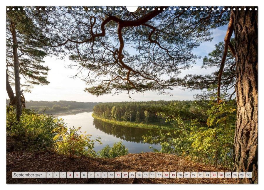 InsideView 14
