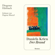 Cover-Bild zum Titel 'Der Brand' von 'Daniela Krien'
