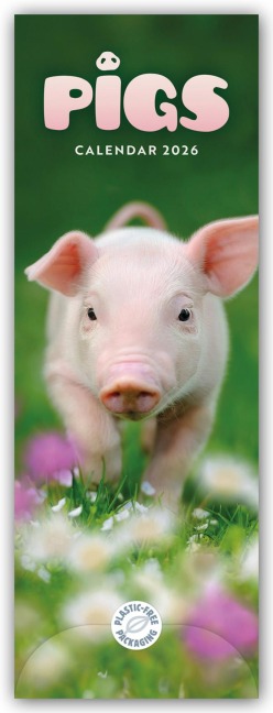 Pigs - Ferkel - Schweinchen 2026 - Slimline-Kalender - Carousel Calendar
