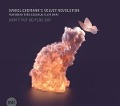 Cover-Bild zum Titel 'Won't Put No Flag Out' von 'Daniel Erdmann's Velvet Revolution featuring Th'o'