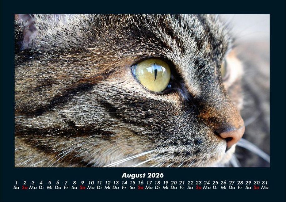 InsideView 12