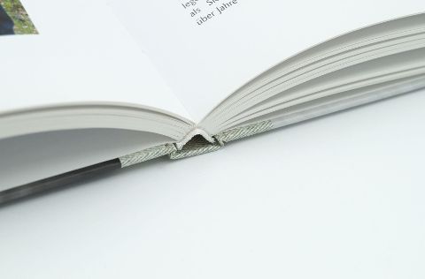InsideView 4