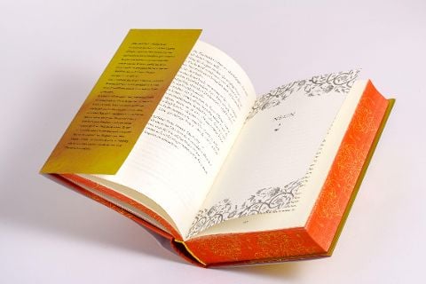 InsideView 8