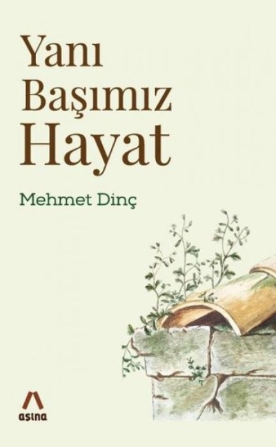 Yani Basimiz Hayat - Mehmet Dinc