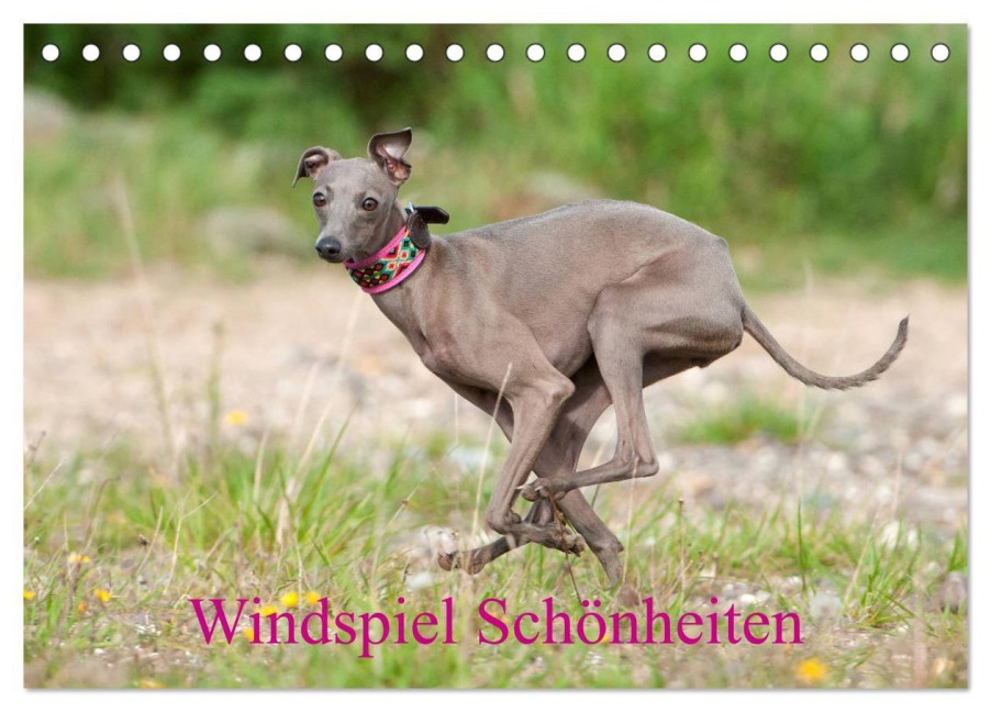 Windspiel Schönheiten (Tischkalender 2026 DIN A5 quer), CALVENDO Monatskalender - Angelika Joswig