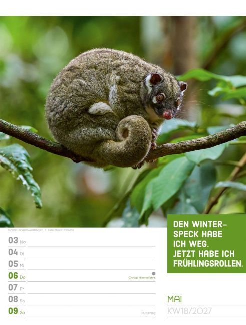 InsideView 22
