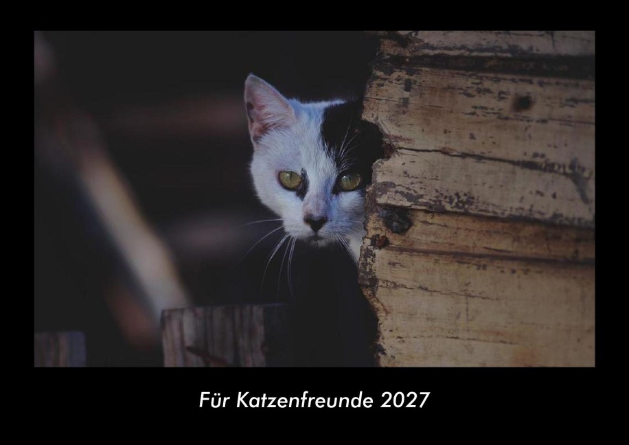 Für Katzenfreunde 2027 Fotokalender DIN A3 - Tobias Schmitt, Kevin Heber