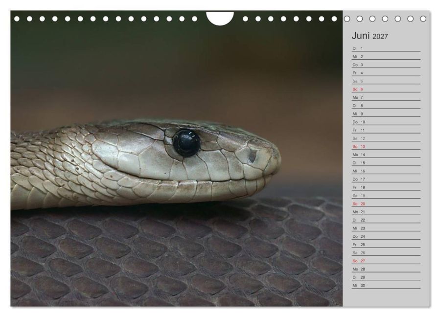InsideView 11