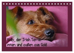 Cover-Bild zum Titel 'Kelly, der Irish Terrier - innen und außen aus Gold (Tischkalender 2026 DIN A5 quer), CALVENDO Monatskalender' von 'Claudia Schimon'