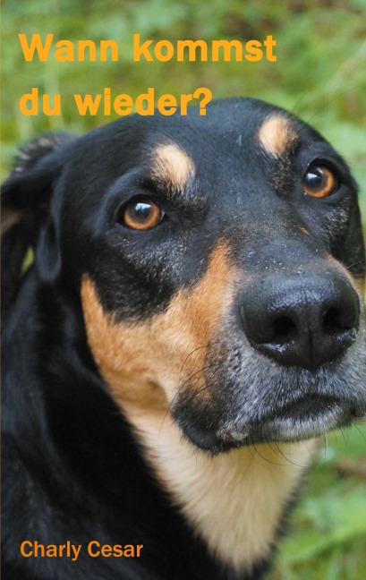 Wann kommst du wieder? - Charly Cesar