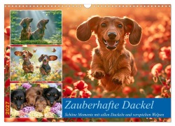 Cover-Bild zum Titel 'Zauberhafte Dackel (Wandkalender 2027 DIN A3 quer), CALVENDO Monatskalender' von 'Steffen Gierok-Latniak'