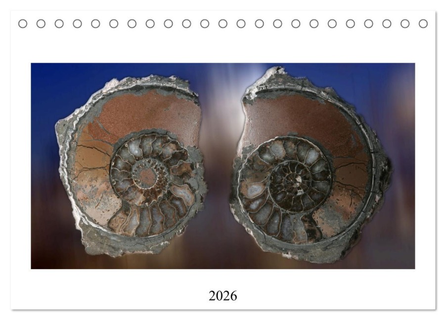 Versteinerte Welt (Tischkalender 2026 DIN A5 quer), CALVENDO Monatskalender - Steffen Schellhorn