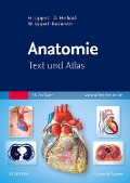 Cover-Bild zum Titel 'Anatomie' von 'Herbert Lippert, Desiree Herbold, Wunna Lippert-Burmester'