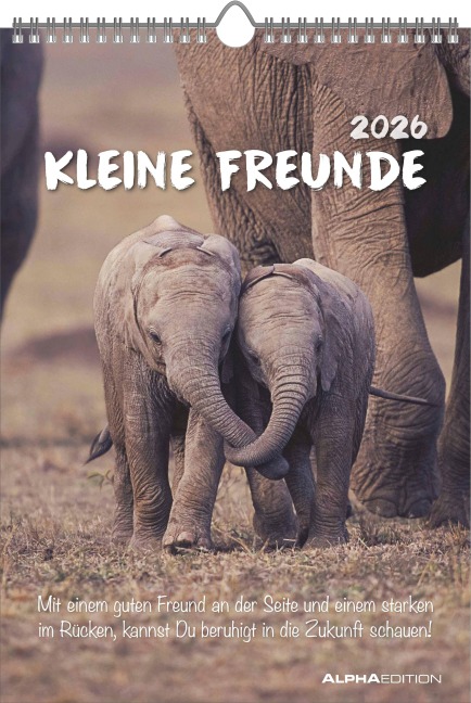 Kleine Freunde 2026 - Bildkalender 23,7x34 cm - Kalender mit Platz für Notizen - mit vielen Zusatzinformationen - Wandkalender - Alpha Edition - 