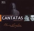 Cover-Bild zum Titel 'Bach: Cantatas (BWV 49,51,82)' von 'Martin Musica Angelica/Haselböck'
