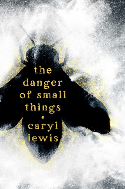 The Danger of Small Things - Caryl Lewis