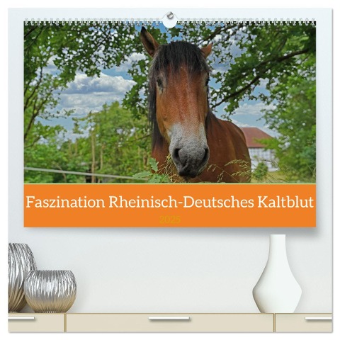 Faszination Rheinisch-Deutsches Kaltblut (hochwertiger Premium Wandkalender 2025 DIN A2 quer), Kunstdruck in Hochglanz - Babett Paul - Babetts Bildergalerie