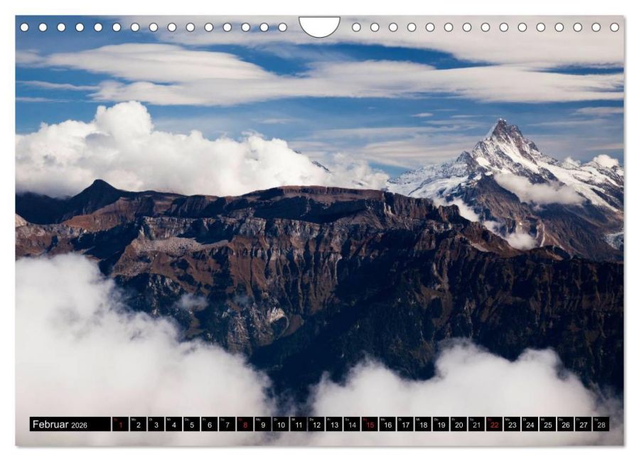 InsideView 7