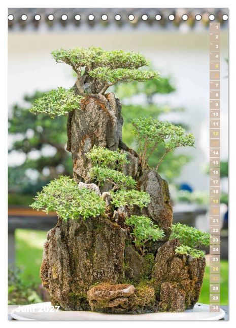 InsideView 11