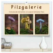Pilzgalerie - Eindrucksvolle Aufnahmen von unseren heimischen Pilzen (hochwertiger Premium Wandkalender 2026 DIN A2 quer), Kunstdruck in Hochglanz - Beate Wurster