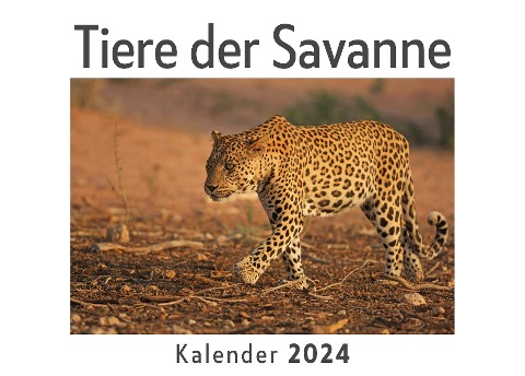 Tiere der Savanne (Wandkalender 2024, Kalender DIN A4 quer, Monatskalender im Querformat mit Kalendarium, Das perfekte Geschenk) - Anna Müller