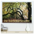 Die Süntelbuchenallee (hochwertiger Premium Wandkalender 2025 DIN A2 quer), Kunstdruck in Hochglanz - Bernhard Loewa