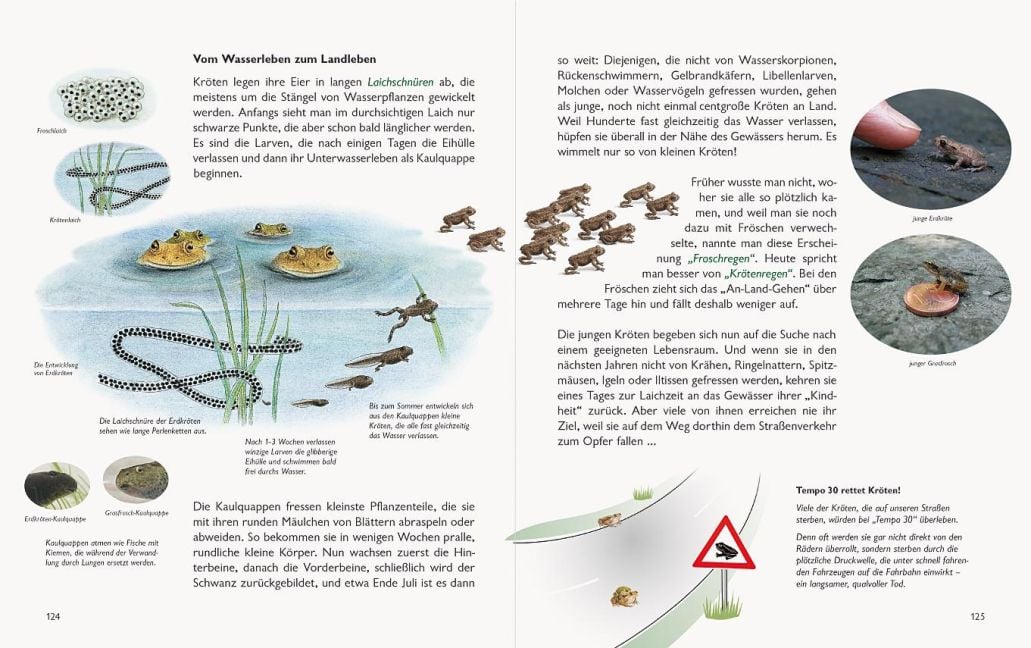 InsideView 14