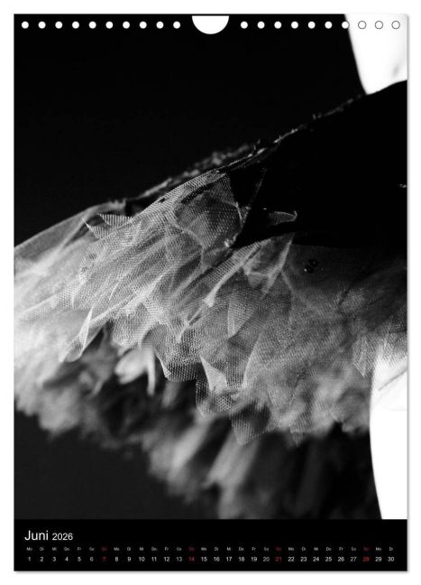 InsideView 11