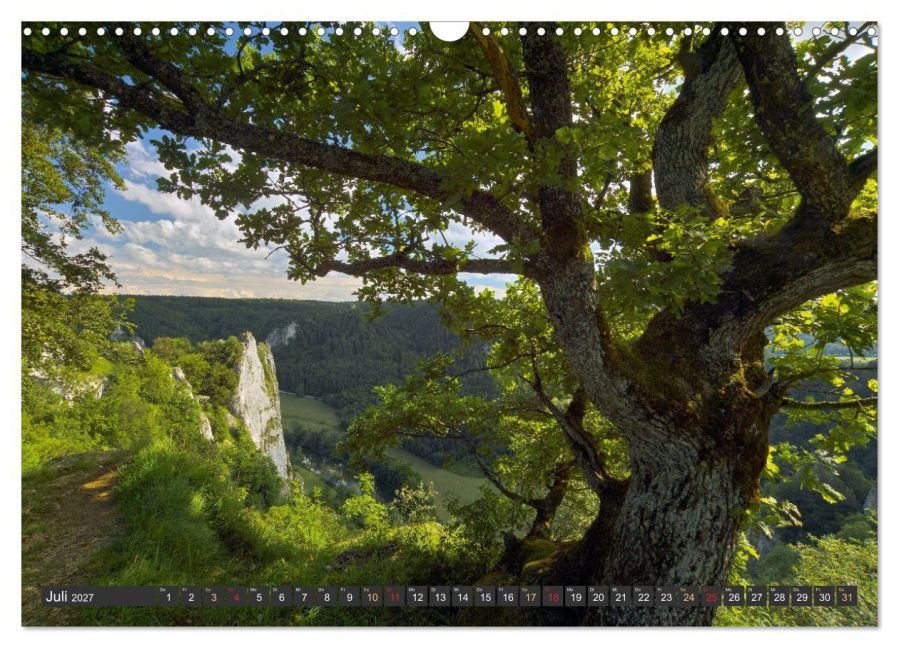InsideView 12