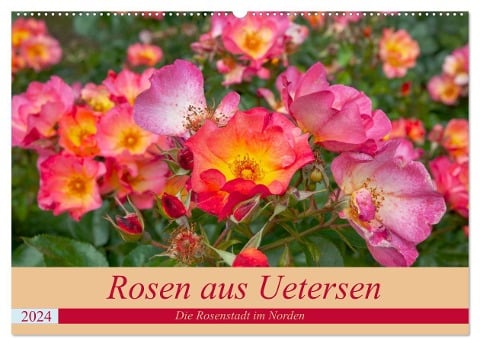 Rosen aus Uetersen (Wandkalender 2024 DIN A2 quer), CALVENDO Monatskalender - Carmen Steiner Matthias Konrad