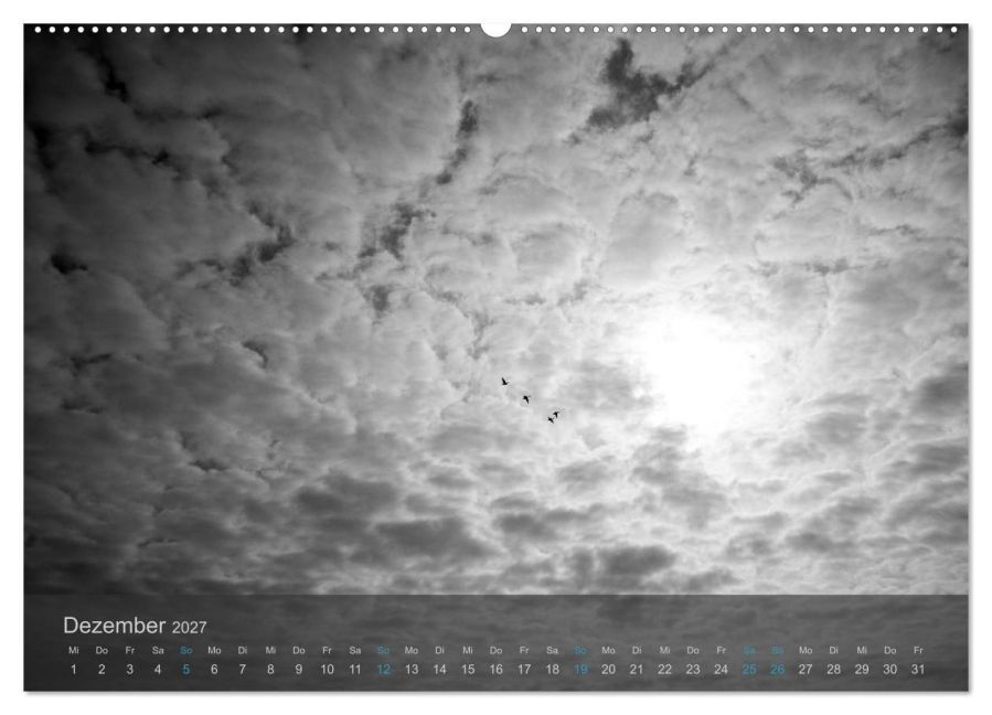 InsideView 4