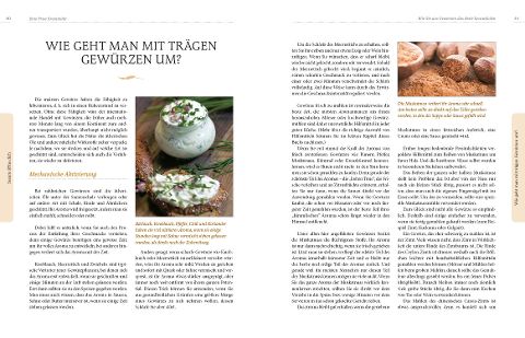 InsideView 8